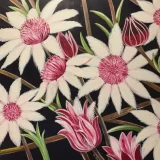 Pink Flannel Flower Painting